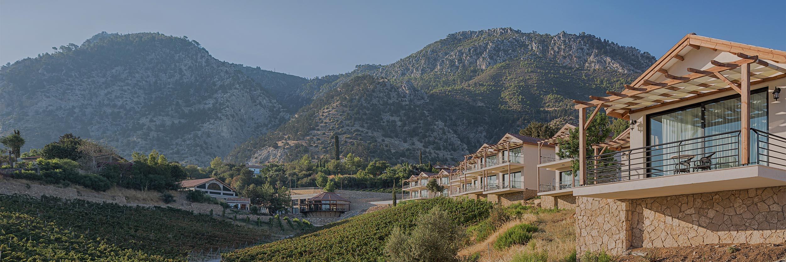 Gillham Vineyard Hotel